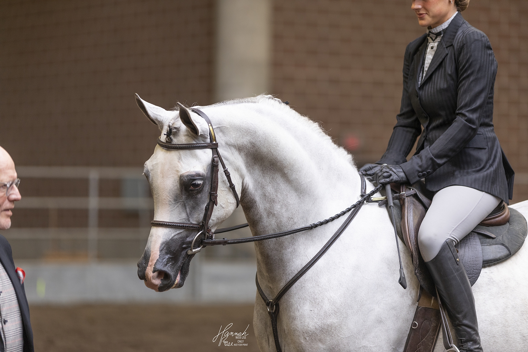 Equine Event & Portrait Photographer in Central Iowa - Hannah Rose ...