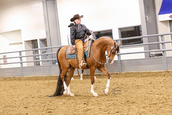 HRP-IowaArabianSpringShow-88-42-Edit.jpg