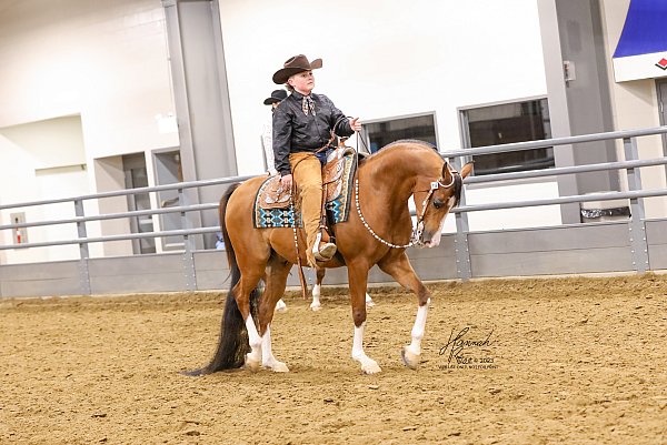 HRP-IowaArabianSpringShow-88-42-Edit-2.jpg